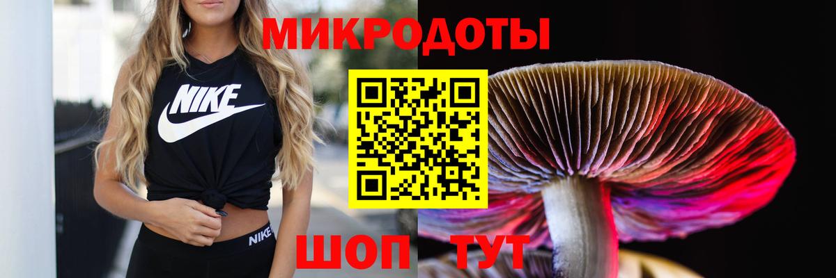 Галлюциногенные грибы мицелий  Вход с VPN  Вологда 